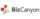 BizCanyon_logo