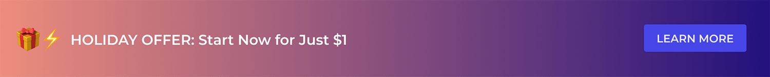 Wordpres holiday offer banner